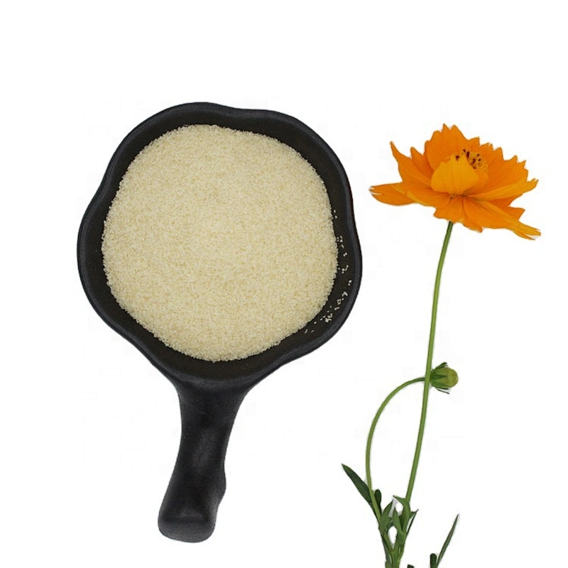 Factory Supplies Bulk Halal Bovine Gelatin Powder Made in China Factory